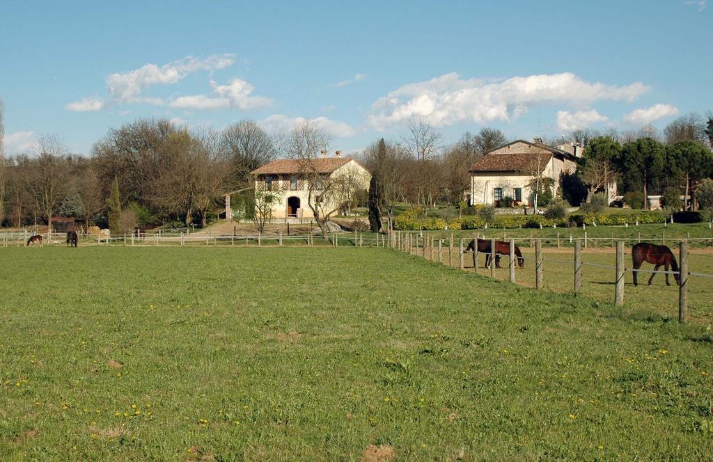 Agriturismo Trebisonda Country Resort مونزامبانو المظهر الخارجي الصورة